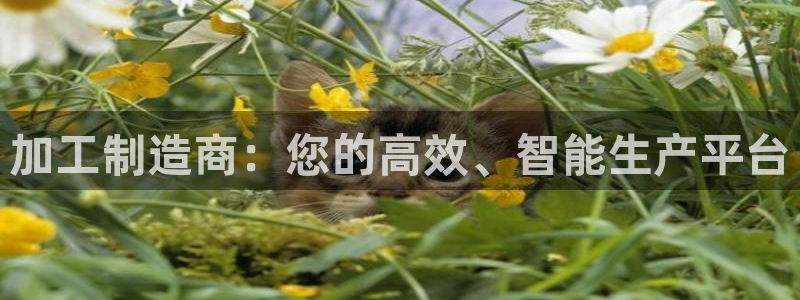 华润娱乐撤122222