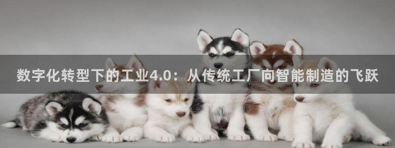 华润娱乐章92222