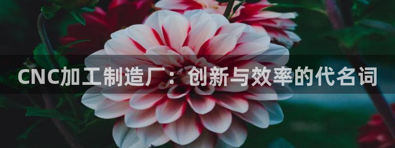 华润娱乐味92222