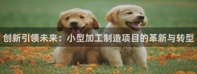 华润娱乐天7O667