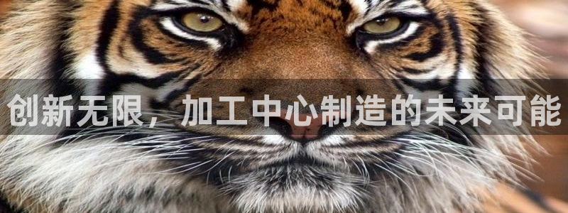 华润娱乐问92222