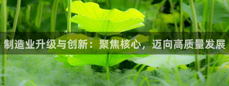 华润集团娱乐公司