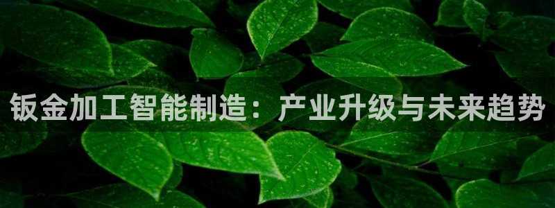 华润娱乐胡判官21