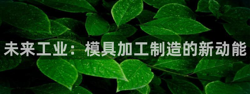高州华润娱乐项目介绍