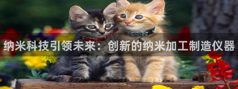 新会华润娱乐会所地址