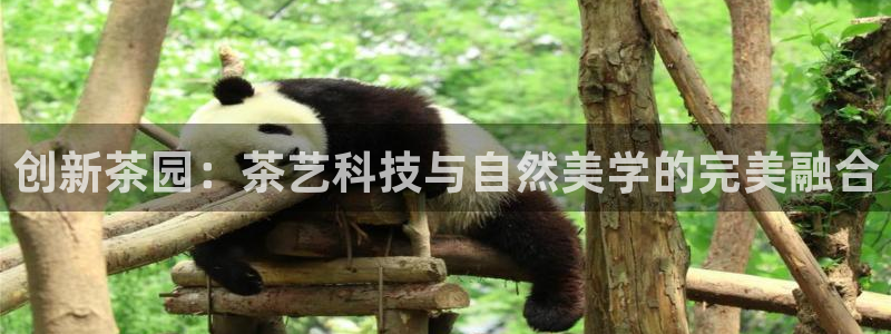 华润集团娱乐公司地址