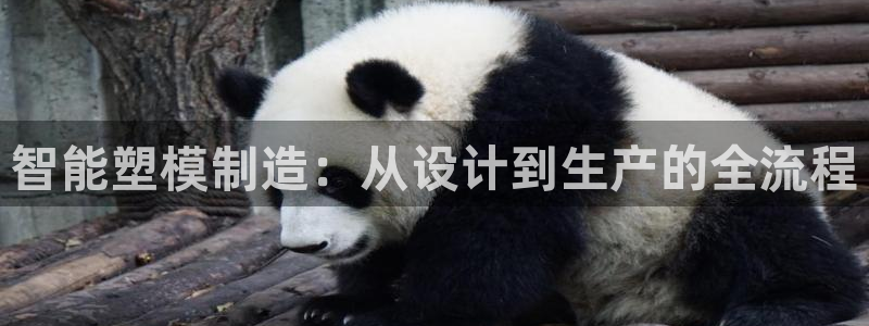 华润2娱乐平台主管