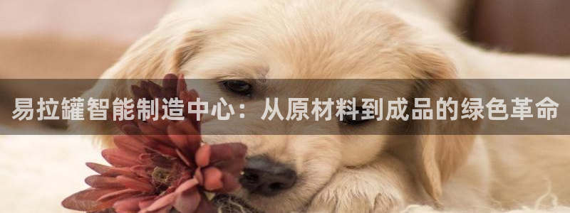 华润娱乐惨95692