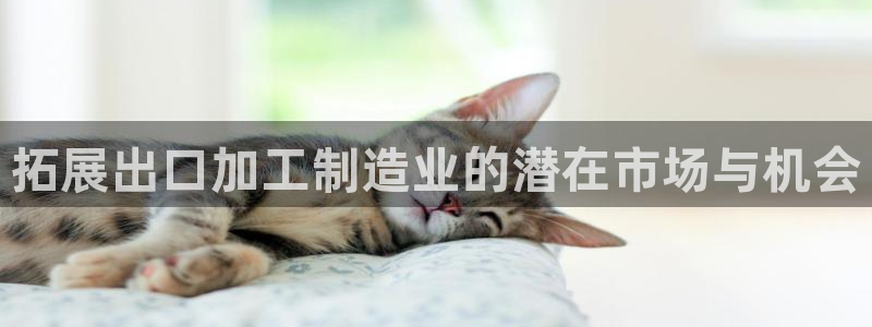 华润娱乐酶 92222