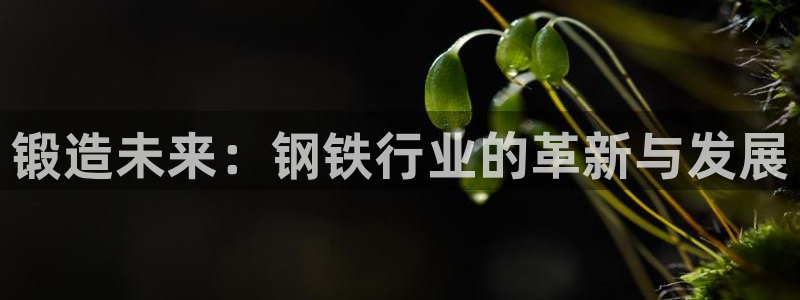 华润娱乐贴吧官网