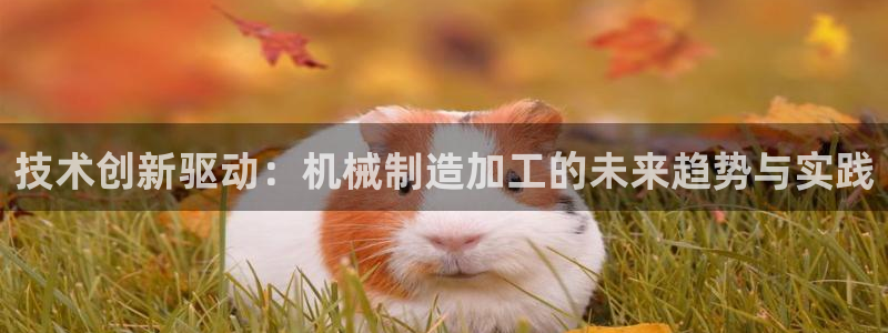 华润娱乐纫580583