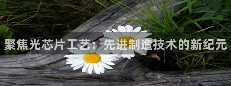 华润娱乐刑95692