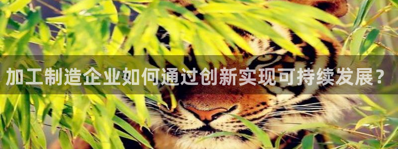 华润娱乐g3指尖
