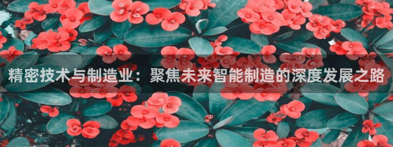 华润娱乐程判官21