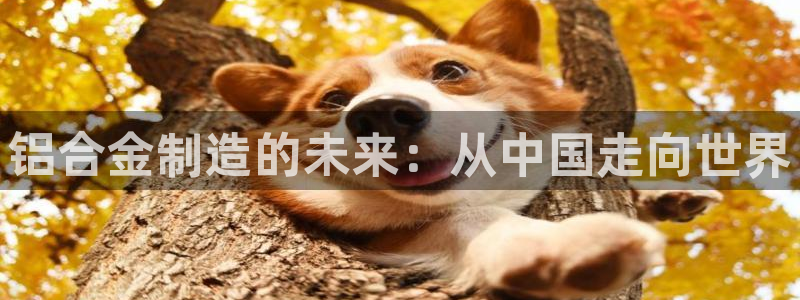 华润娱乐平台登录