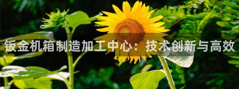 华润娱乐会员怎么注册