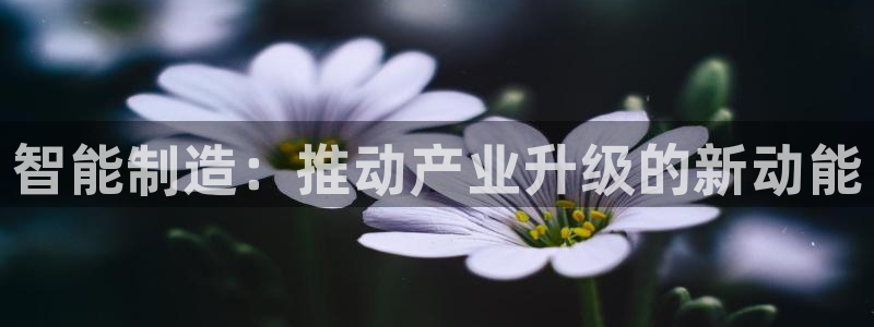 华润娱乐任92222