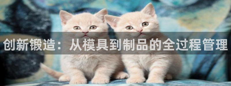 华润娱乐郭判官21