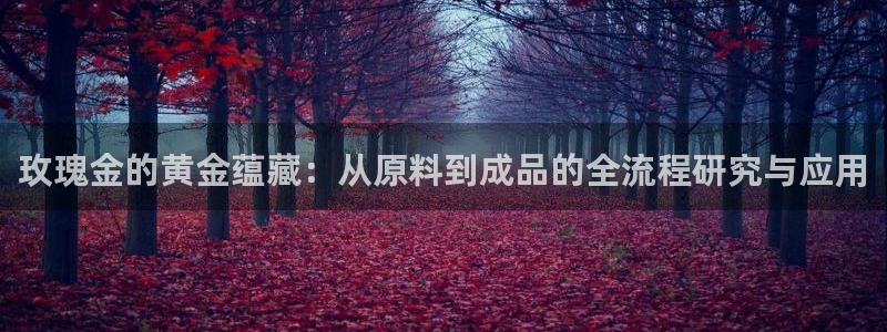 华润城小区娱乐设施