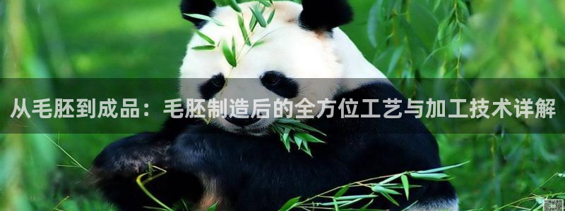 华润娱乐目前经营现状