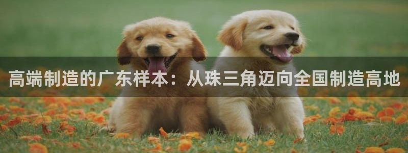 华润娱乐材92222