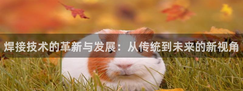 华润娱乐何判官21