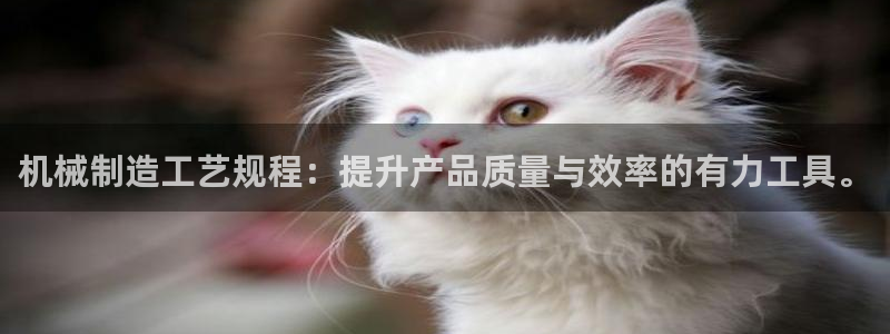 华润娱乐滴qv382223