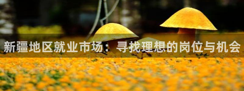 华润娱乐首页