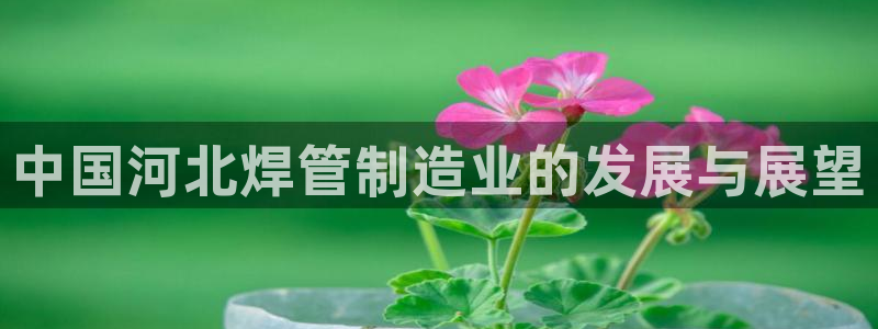 华润娱乐没