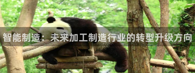 华润娱乐进