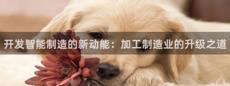 华润娱乐都